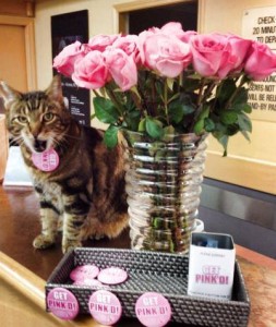 Rotor Cat celebrated 'Get Pink'd Day' 2014